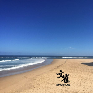 人人摸人人舔人人插
