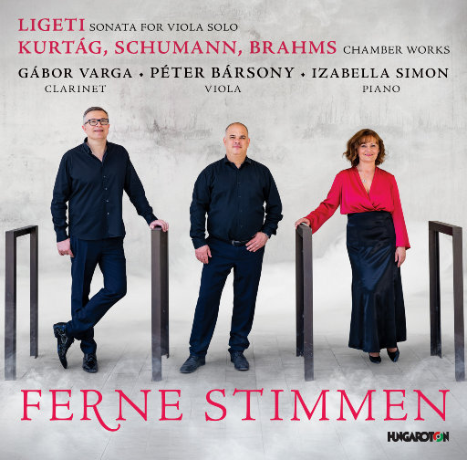 人人摸人人舔人人插
